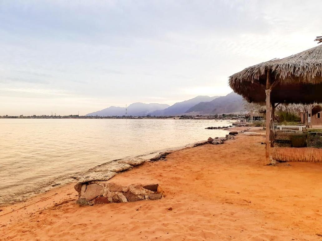 Sababa Beach Camp Bed and Breakfast Nuweiba` Exterior foto